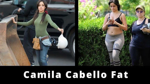 Camila Cabello Fat