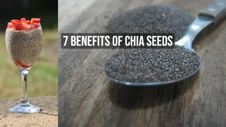 7 Benefits of Chia Seeds: Side Effects and Nutrition Facts