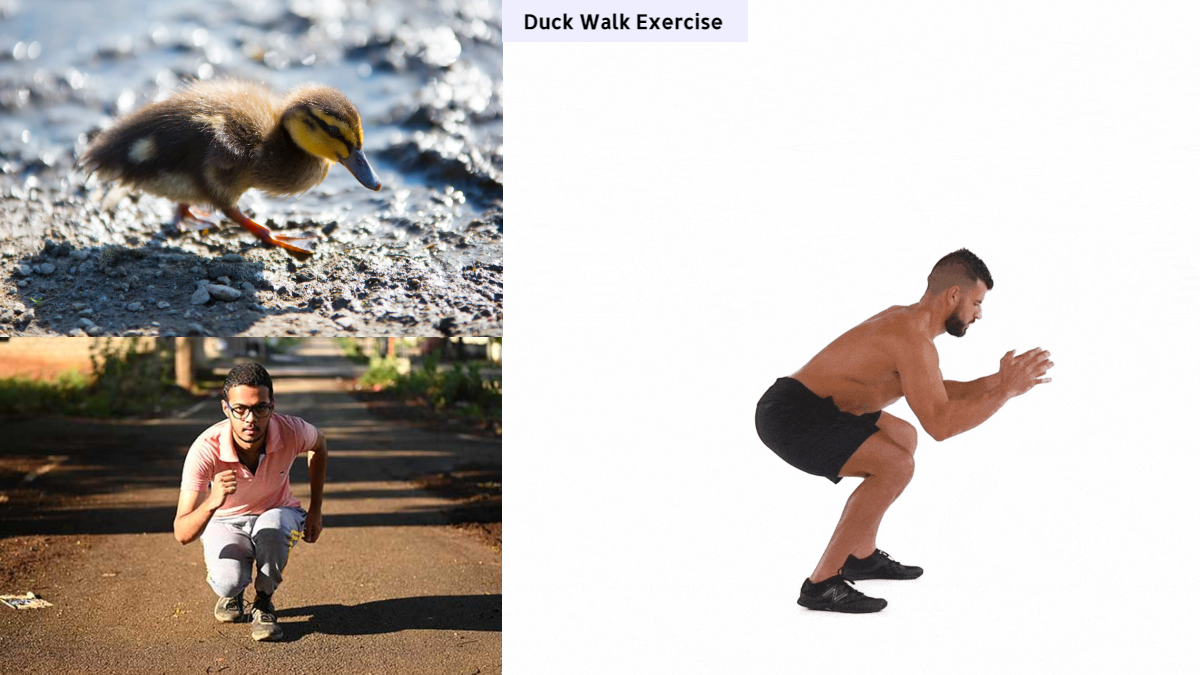 Boost Your Fitness With Duck Walk Exercise Know 5 Benefits