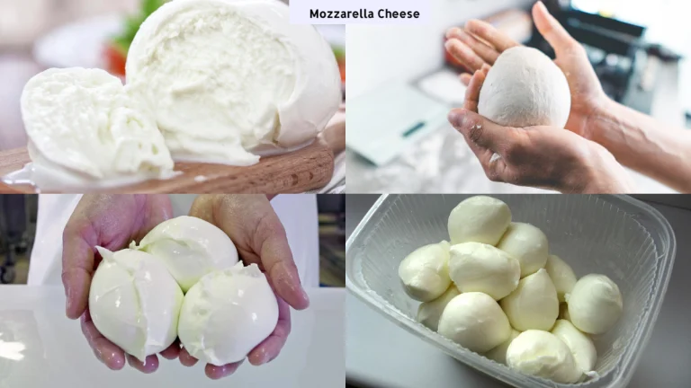 Mozzarella Cheese Nutrition: 8 Health Benefits and Types