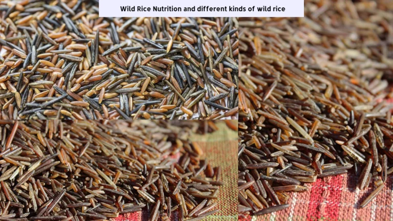 Wild Rice Nutritional Benefits and Different Types