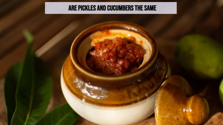 Benefits of Pickles: Are Pickles Good or Bad For You?