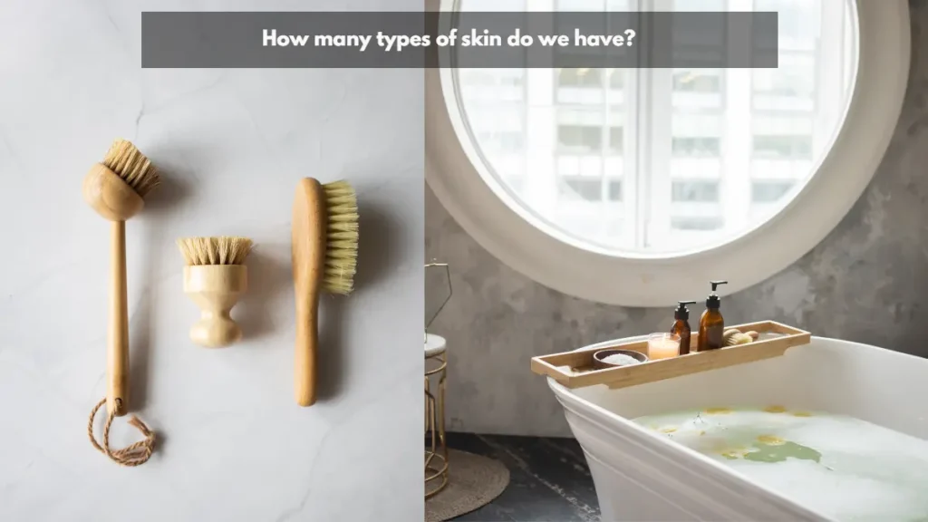 How many types of skin do we have