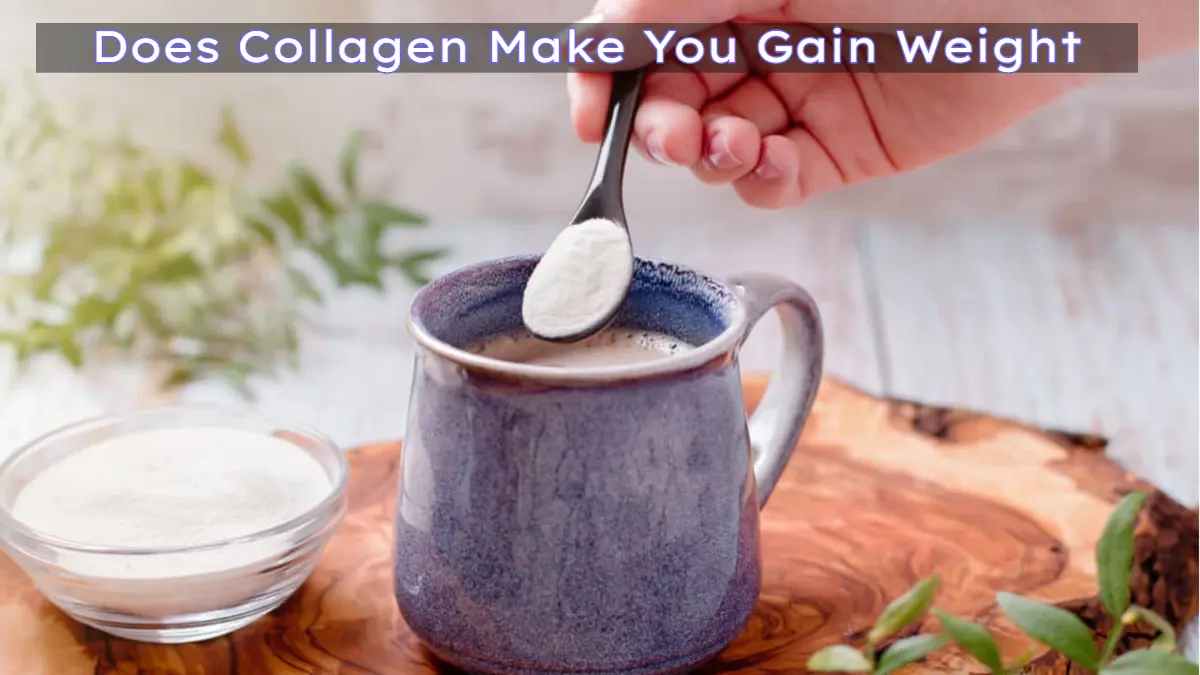 Does Collagen Make You Gain Weight? Myths & Facts