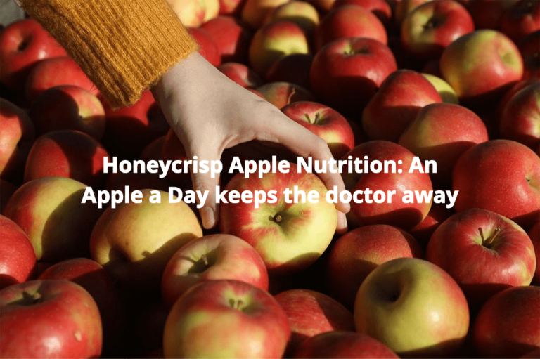 Honeycrisp Apple Nutrition: Facts & Benefits