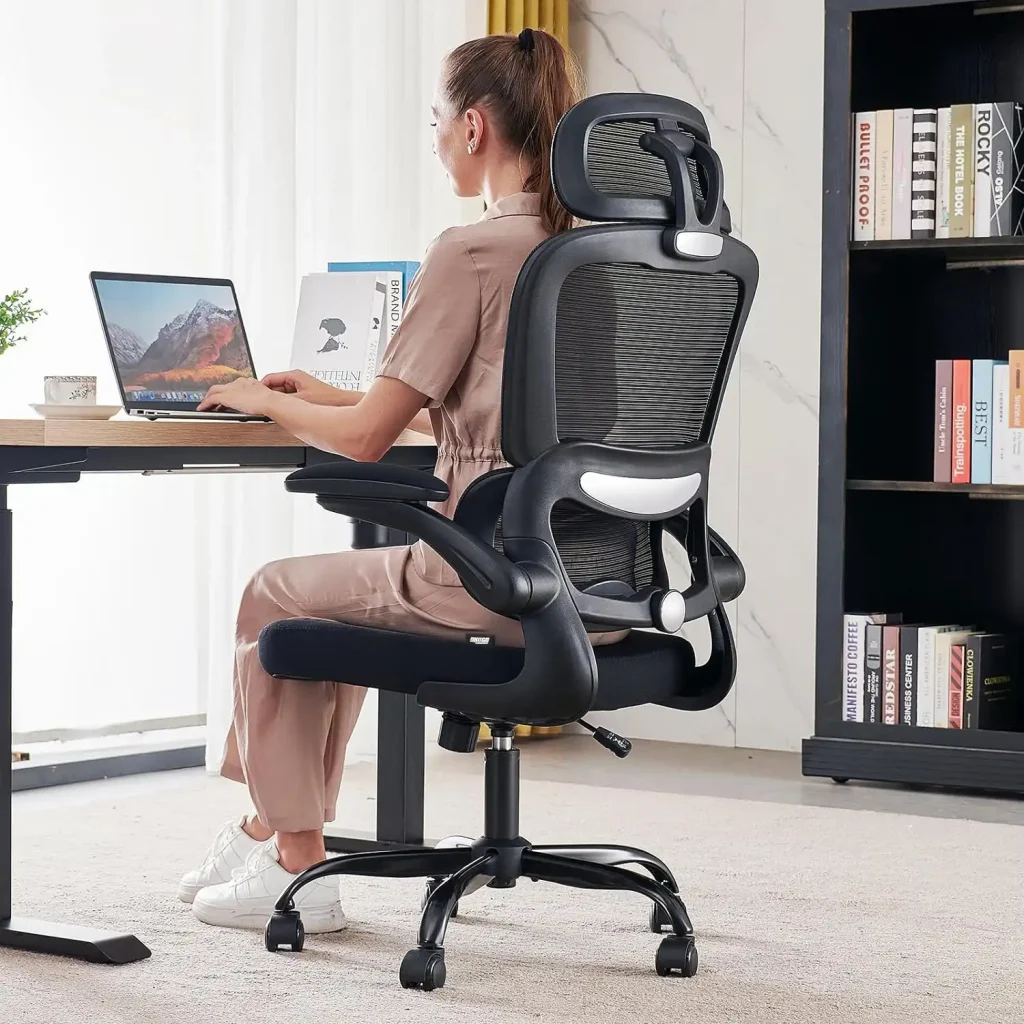 Ergonomic Office Chairs