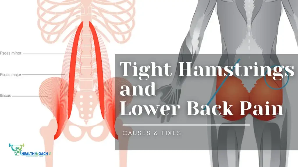Tight Hamstrings and Lower Back Pain_ Causes & Fixes