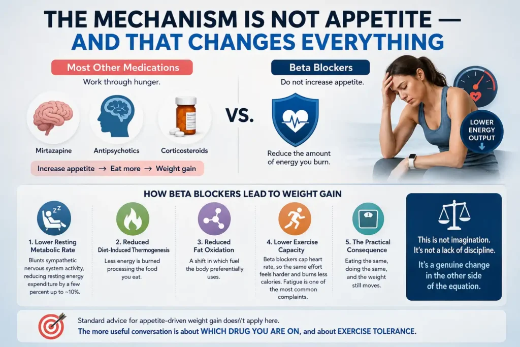 The Mechanism Is Not Appetite And That Changes Everything